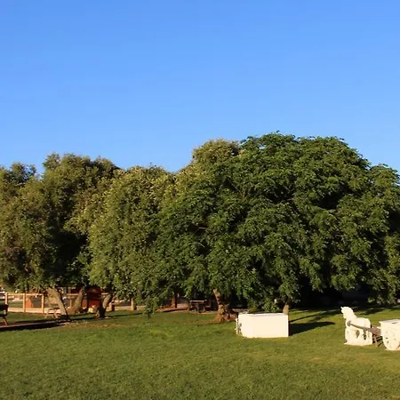 Cortijo El Indiviso Gospodarstwo wiejskie Vejer de la Frontera